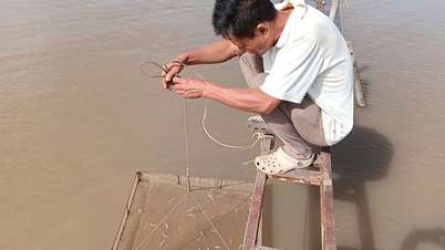 การสร้างห่วงโซ่การผลิตกุ้งขาว