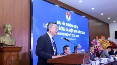 In 2026, Vietnamese football will rise to prominence in Asia.
