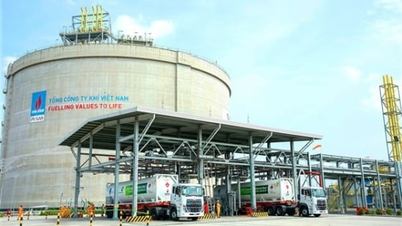 CNG Vietnam baut seine Marktposition weiter aus und setzt sein Wachstumstempo fort.