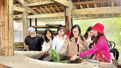 Het behoud van het traditionele ambacht van theeverwerking in Ta Xua.