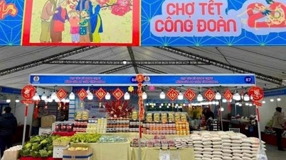 Раздача 5000 подарочных сертификатов на покупки на рынке Тет 2026 в торговом центре Hai Phong Trade Union.