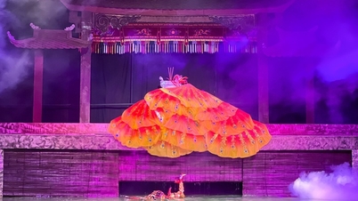 "লং থান ইমোশনস" - ঐতিহ্যবাহী পুতুলনাচ এবং সমসাময়িক সৃজনশীলতার এক সুরেলা মিশ্রণ।