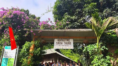 Chàng trai Mường và khát vọng giữ hồn bản bên Vịnh Hiền Lương