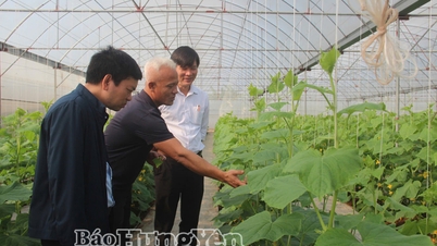 Thúc đẩy chuyển đổi số, chuyển đổi xanh và khởi nghiệp sáng tạo trong lĩnh vực hợp tác xã