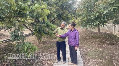 Để kinh tế tập thể bứt tốc