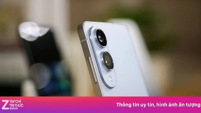 Die Behörden haben in Indien einen Ring zerschlagen, der gefälschte Smartphones mit dem Aufdruck „Made in Vietnam“ herstellte.