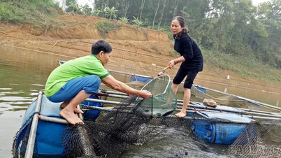 ภาคการประมงของจังหวัดลาวกายมีการเติบโตอย่างมั่นคง โดยมีผลผลิตเกิน 28,000 ตัน