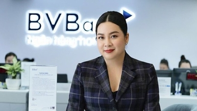 Ibu Nguyen Thanh Phuong telah mengundurkan diri dari Dewan Direksi Ban Viet Bank.