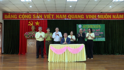 บริษัท ชือปะห์ ยางพารา จำกัด ประกาศว่าผลิตภัณฑ์ของบริษัทเป็นไปตามข้อกำหนดด้านการต่อต้านการตัดไม้ทำลายป่าของสหภาพยุโรป