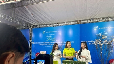 ผู้ประกอบการหญิงกำลังเปิดรับการเปลี่ยนแปลงทางดิจิทัล