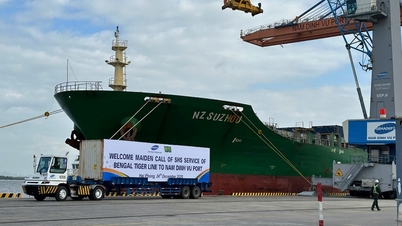 شرکت VOSA Hai Phong رسماً سمت کارگزار شبانه‌روزی شرکت Bengal Tiger Line (سنگاپور) را پذیرفت.
