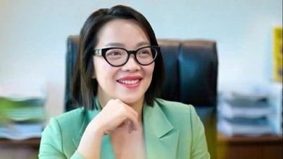 Vinpearl mempunyai Pengarah Besar yang baharu.