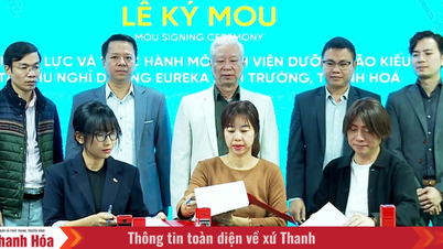 Thanh Hoa'daki tatil köyü, Japon standartlarında bir huzurevine dönüştürülecek.