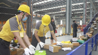 TP. Hồ Chí Minh: Ngăn chặn hành vi gian lận thương mại qua vận chuyển hàng hóa bằng đường bưu chính