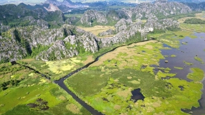 Ninh Binh: Discover the tranquil "waveless bay" of Van Long.