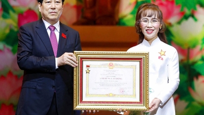 Tiến sĩ Nguyễn Thị Phương Thảo nhận danh hiệu Anh hùng Lao động
