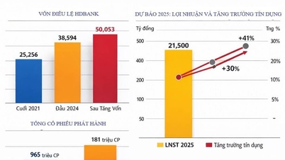 HDBank își majorează capitalul la peste 50.000 de miliarde VND, iar obiectivul său de profit pentru 2025 este așteptat să fie depășit.