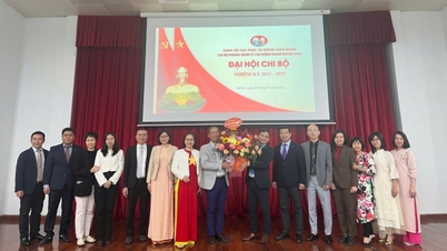 Phòng Quản lý lao động đoàn ngoại giao: Cầu nối nhân lực tin cậy của cộng đồng đoàn ngoại giao tại Việt Nam