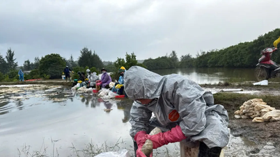 Quang Ngai: La limpieza del derrame de diésel se completará antes del 31 de diciembre.