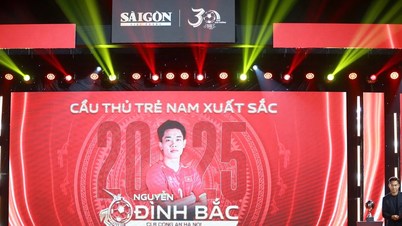 Bal d'or vietnamien 2025 : Dinh Bac honoré, Tuyet Dung reçoit le prix pour l'ensemble de sa carrière.