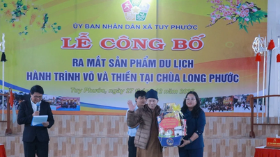 La comuna de Tuy Phuoc lanza el producto turístico "Viaje de Artes Marciales y Meditación".