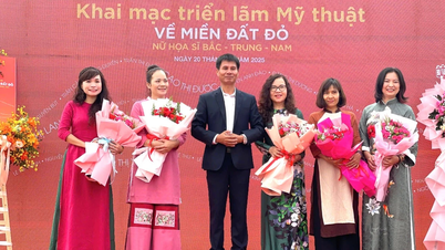 Một năm “được mùa” sáng tạo