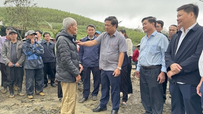 İl Parti Sekreteri Luong Nguyen Minh Triet, afet yardım çalışmalarını denetliyor.