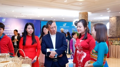 Von Projekt 939 zu Projekt 2415: Stärkung der wirtschaftlichen Position vietnamesischer Frauen
