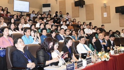 중국어 교육학을 전공한 졸업생들은 놀라운 취업률을 보여줍니다.
