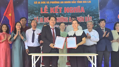 Obec Ia Dơk je spojena s oddělením An Nhơn Bắc.