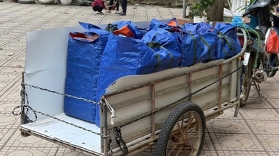 Úřady zjistily porušení předpisů společností Nhat Anh při poskytování školních obědů.