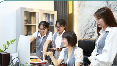 젊은 여성 사업가의 끈질긴 창업 여정.