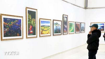 ไฮฟอง: พิธีเปิดนิทรรศการภาพถ่าย "เวียดนาม - ประเทศและประชาชน"