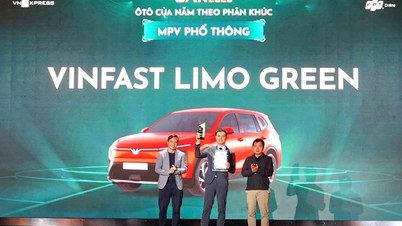 VinFast Limo Green memenangi anugerah Kereta Terbaik Tahun Ini dalam segmen MPV arus perdana.