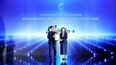 Coteccons: Tăng tốc củng cố nội lực, mở rộng không gian tăng trưởng mới