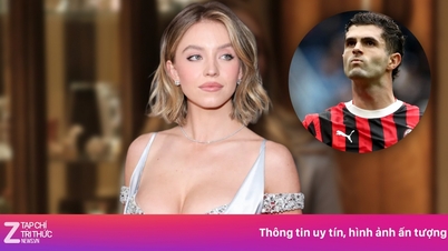 プリシッチは女優スウィーニーと交際しているという噂がある。