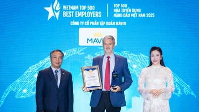 Mavin lần đầu tiên nhận cú đúp giải thưởng về tuyển dụng