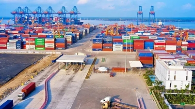 ২০২৫ সালে আমদানি ও রপ্তানি রেকর্ড উচ্চতায় পৌঁছাবে বলে আশা করা হচ্ছে।