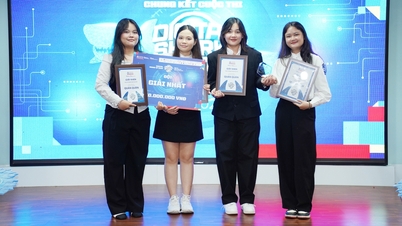 「Digital Shark Up 2025」コンテストで4人の女子生徒が最優秀賞を受賞。