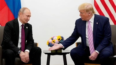 Ông Trump nêu khả năng cùng ông Putin chấm dứt xung đột Ukraine