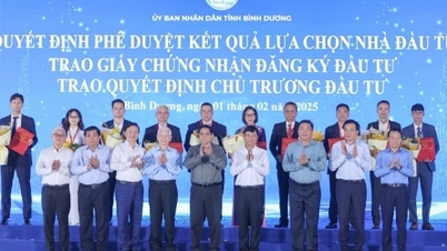 Bình Dương trao giấy chứng nhận đầu tư hàng loạt dự án ngày mùng 4 Tết