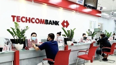 Techcombank provides optimal financial management solutions for business owners.