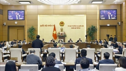Proposal to adjust GDP growth in 2025 to reach 8% or more