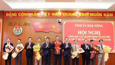 Dak Nong បញ្ចប់ការរៀបចំរចនាសម្ព័ន្ធឡើងវិញ