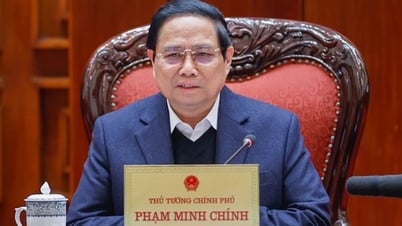 Trình đề án sắp xếp, tinh gọn hệ thống cơ quan thanh tra theo 2 cấp