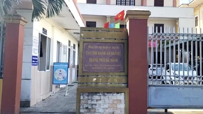 Kỷ luật nguyên Cục trưởng thi hành án dân sự Đà Nẵng
