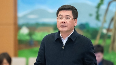 The government proposed to appoint a contractor to quickly build the Ninh Thuan nuclear power plant.