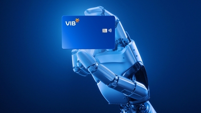 VIB - Leading bank in innovation in credit card sector by 2024
