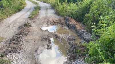 Attention to investment in Dien Cong dike line
