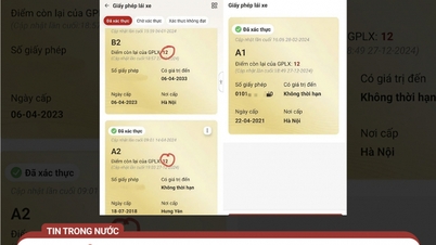 Beware of New Driver's License Points Integration Scam